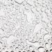 Polynukleotide vs. Filler – Was ist der Unterschied